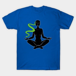 Snakes on an Astral Plane T-Shirt